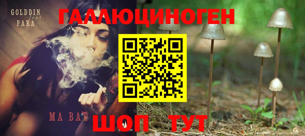 Псилоцибиновые грибы Cubensis Выкса