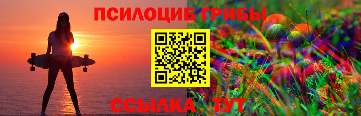 Псилоцибиновые грибы ЛСД  где можно купить   Выкса  Галлюциногенные грибы прущие грибы  Вход с VPN 