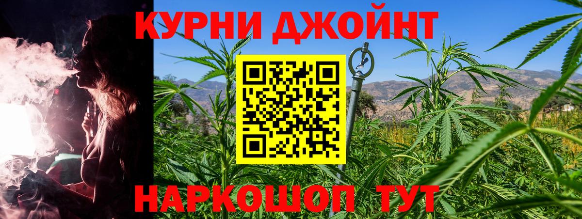 Бошки Шишки план Выкса